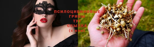 мескалин Алексин
