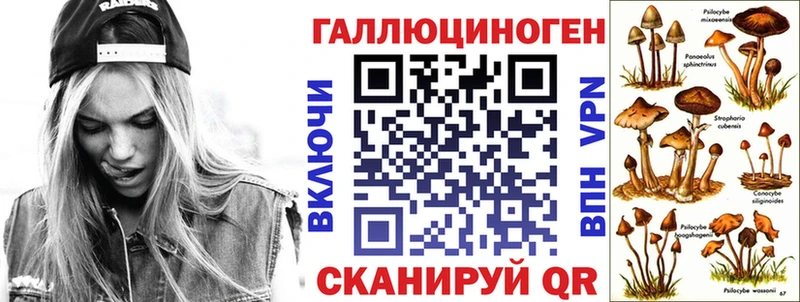 ссылка на мегу ССЫЛКА  Темрюк  Псилоцибиновые грибы мухоморы 