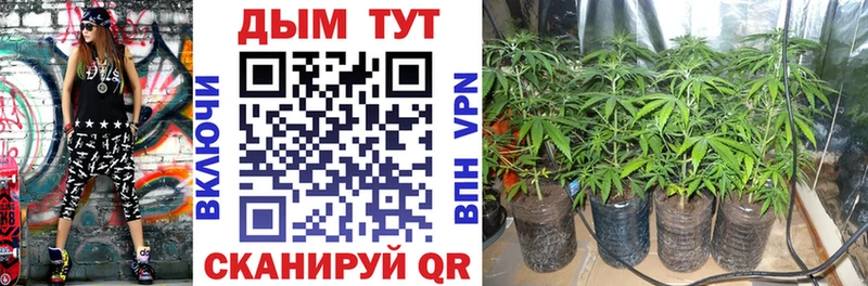 Каннабис MAZAR  Темрюк 